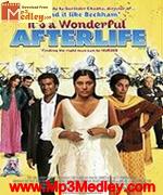 Its Aa Wonderful Afterlife 2010
